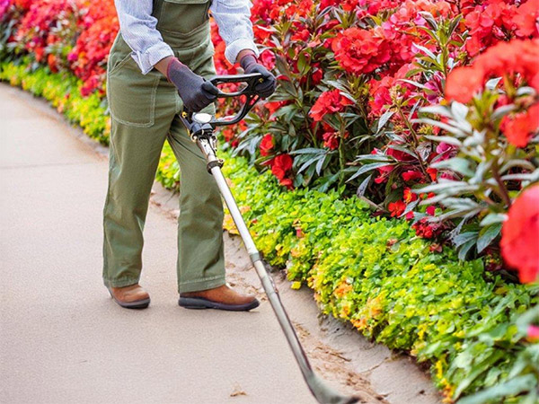 Garden Cleaning Services in London